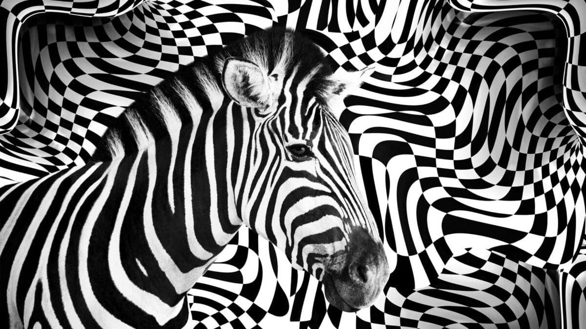 LLM Tools: 3 Retrieval, Memory, and the Illusion of Knowledge