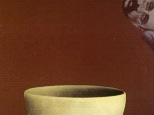silly monty python GIF
