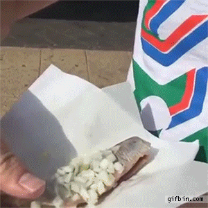 man seagull GIF