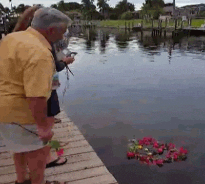 fall oops GIF by America's Funniest Home Videos