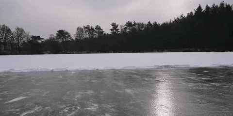 slide flirting GIF