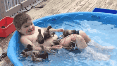 summer pool GIF