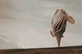 fabulous diva GIF