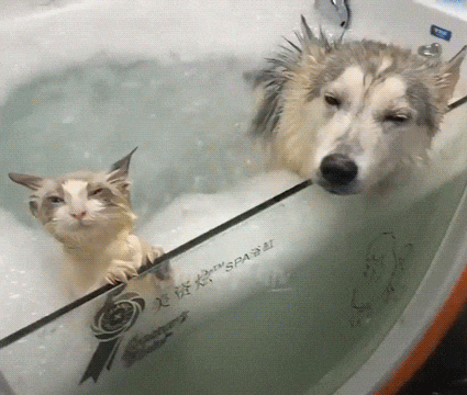funny hot tub GIF