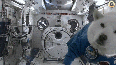 space GIF
