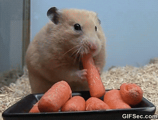 hungry feed me GIF