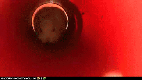 slide GIF
