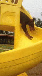 slide GIF