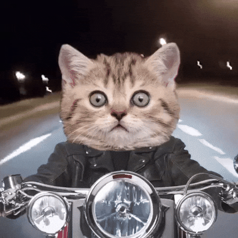 On My Way Goodbye GIF by Bubble Punk