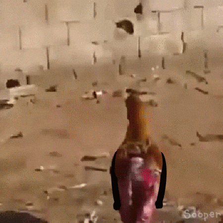 chicken pants GIF