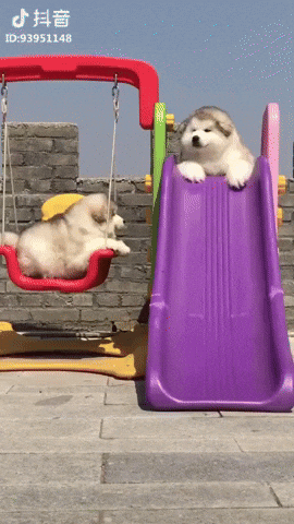 cute slide GIF