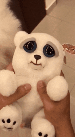 funny gif lol GIF by ViralHog