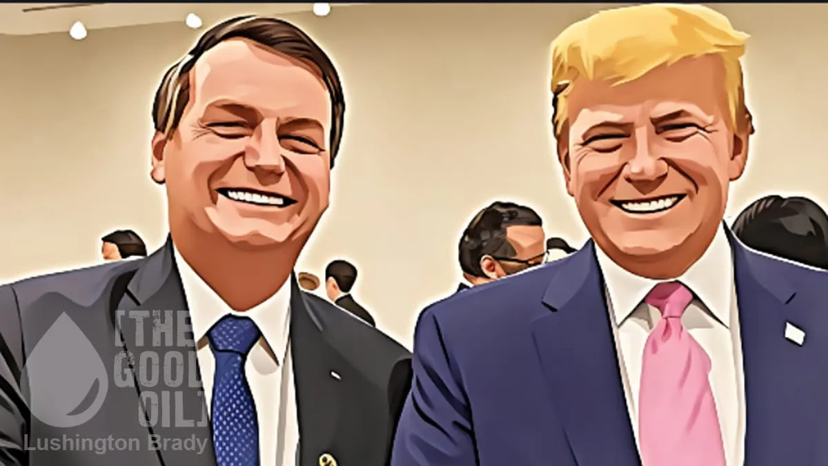 Bolsonaro Vows Comeback Against All Odds