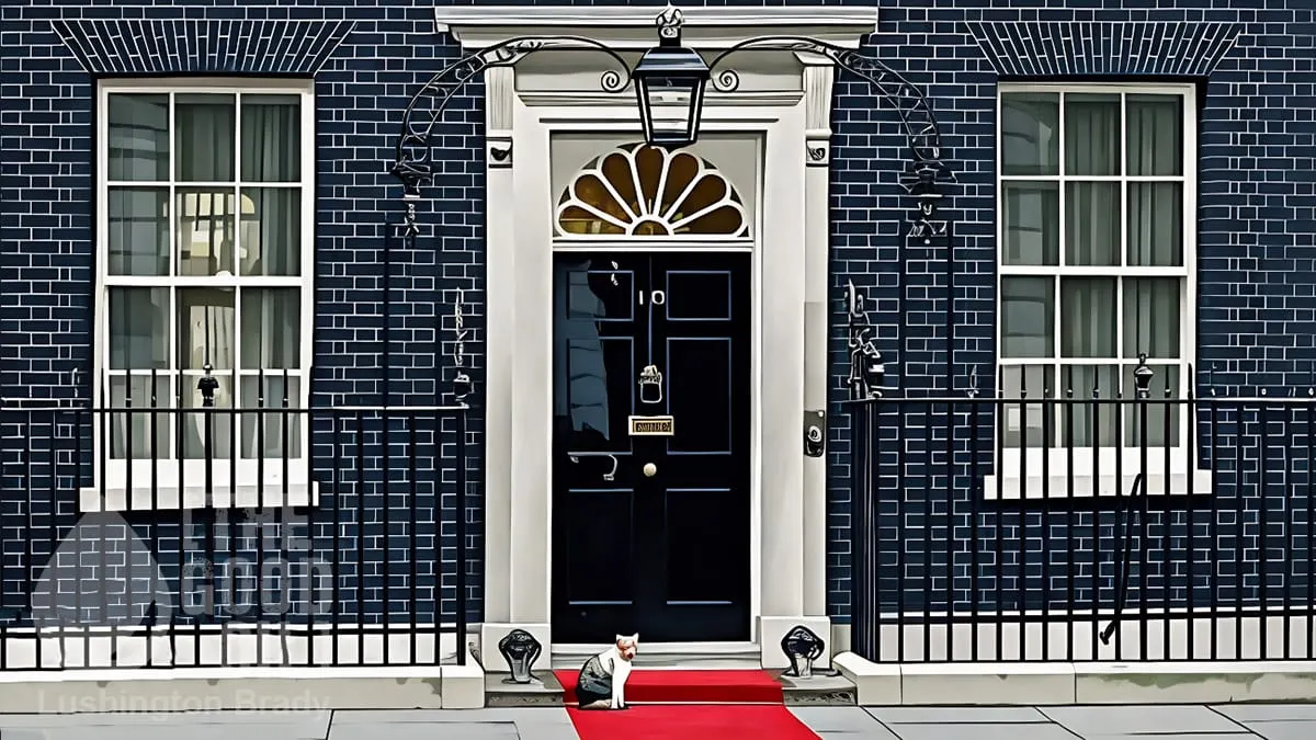 How High Did the Grooming Cover Up Go?