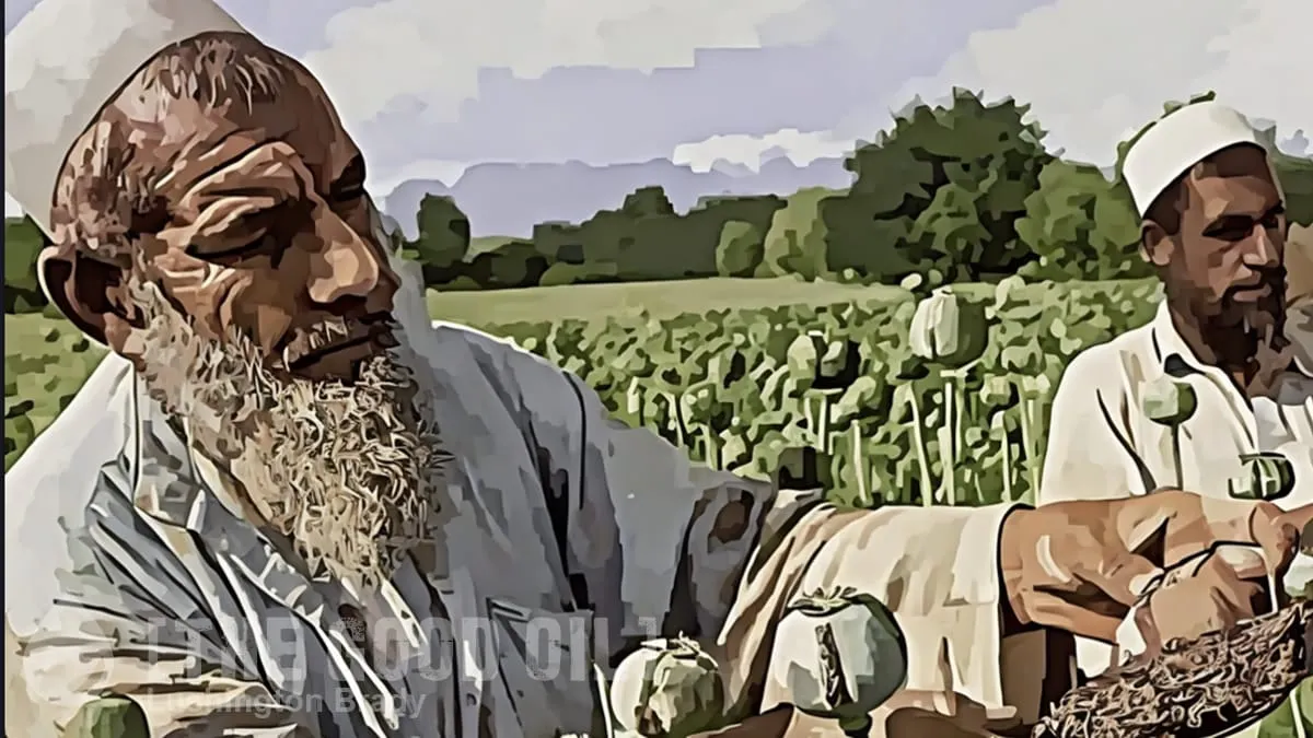 Not the ‘Aid’ You’re Thinking Of