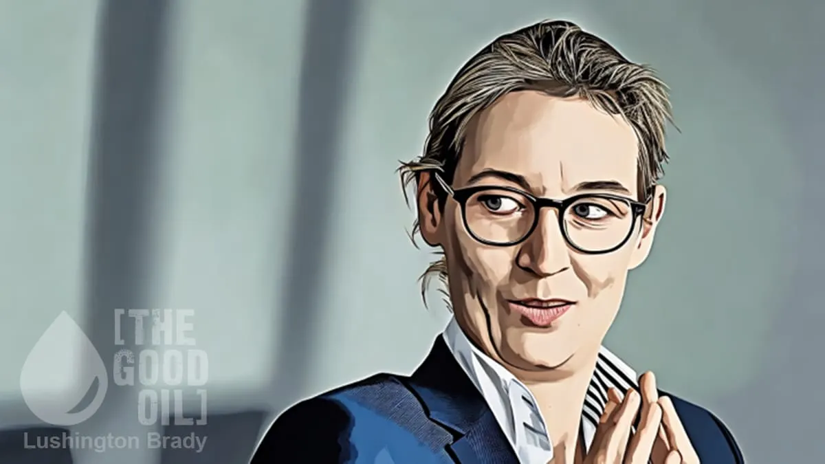 AFD Soars in German Polls