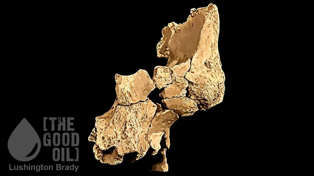 Humans in Europe Longer than Thought