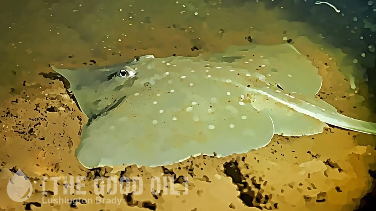 Greens Telling Porkies About Fish