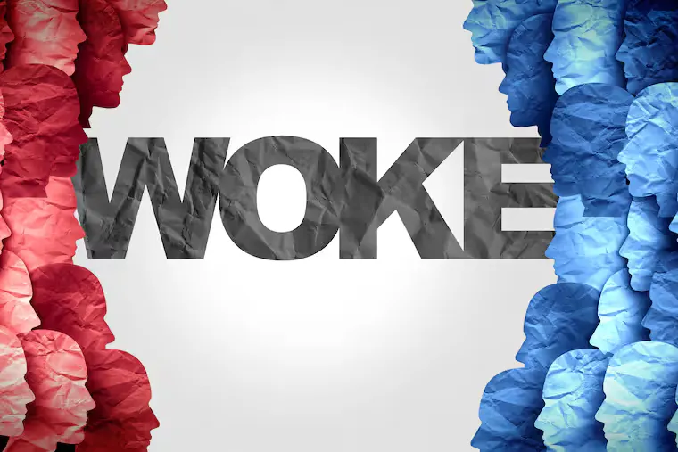 The Woke Right and Hoopleheads