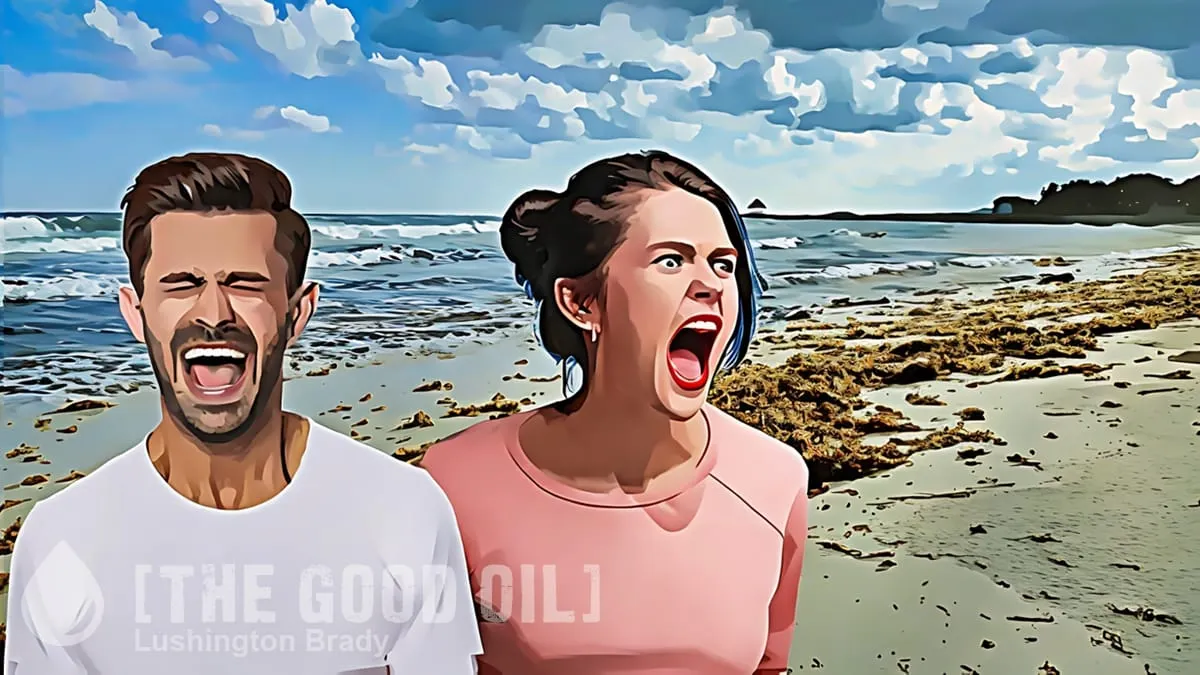 Rich People Don’t Like Real Beaches