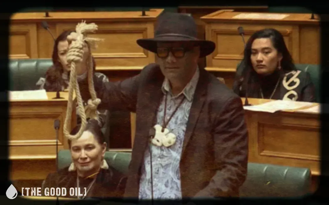 Te Pāti Māori’s Haka Tantrum: A Disgrace to Parliament and a Middle Finger to New Zealanders