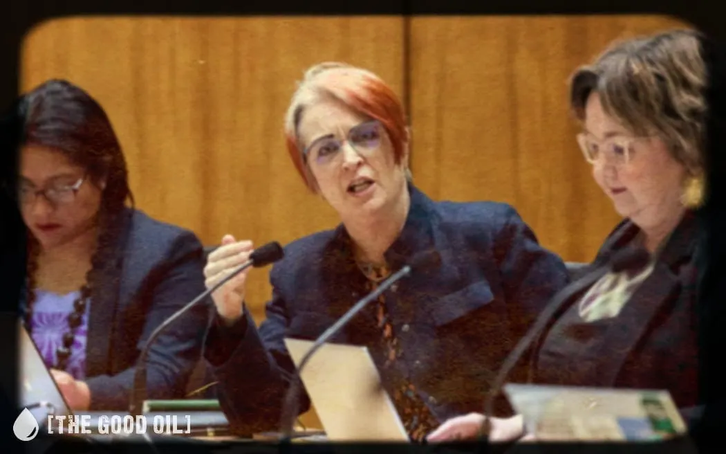 Labour’s Nasty Streak Laid Bare as MPs Swear and Sneer at Seymour