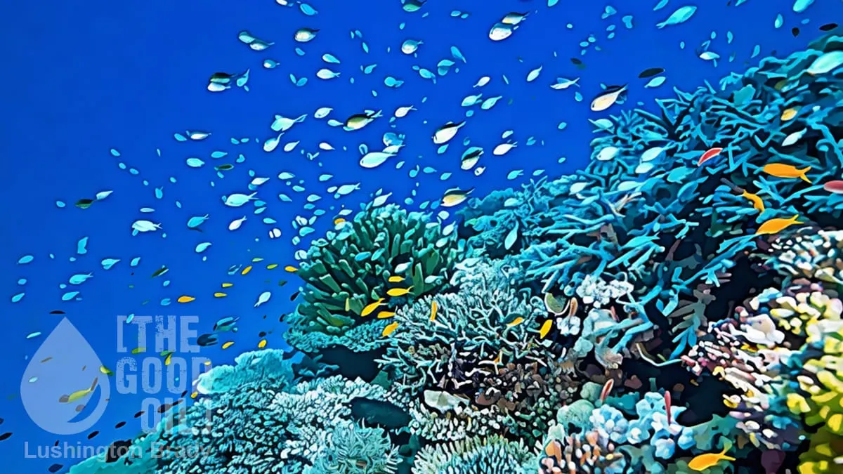 The Reef Isn’t as Hot as They Want You to Believe