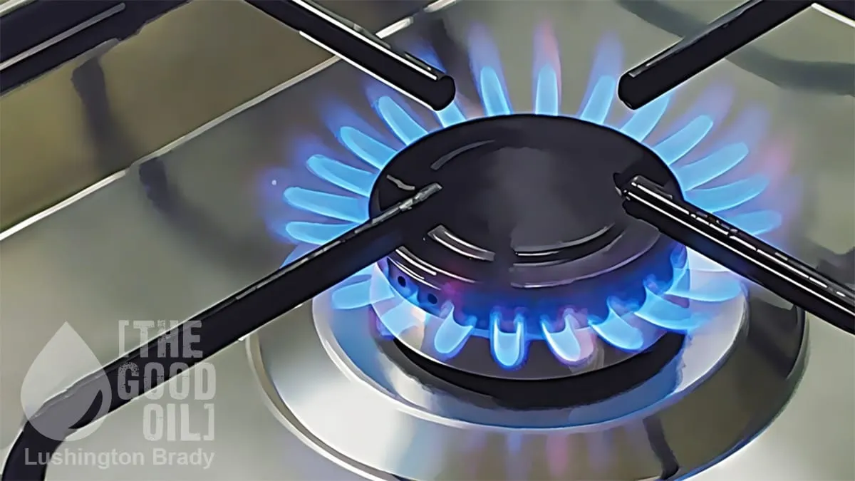 Gas! Gas! A Government of Fumbling