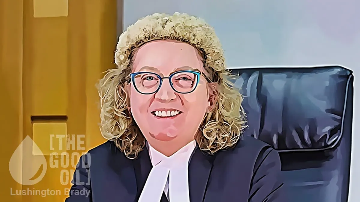 They Keep Making the Case for Judicial Responsibility Laws