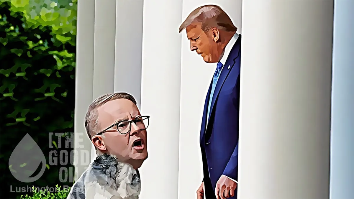 Little Albo Left Behind and Ignored