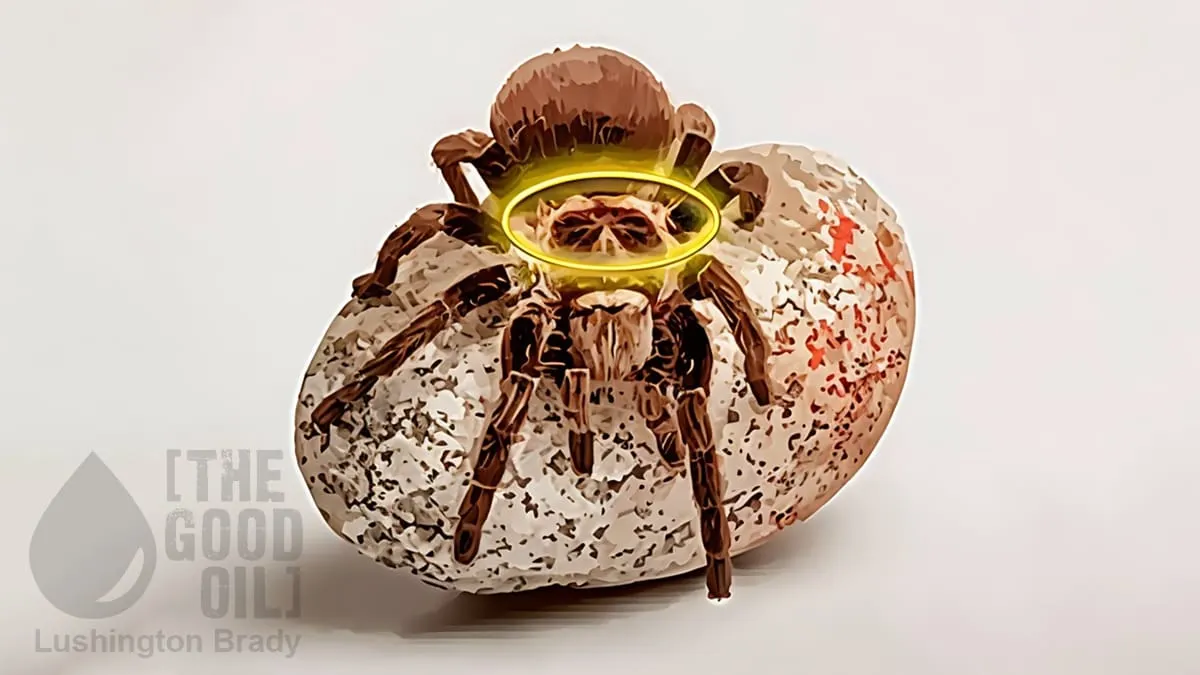 Are Paedophiles More Virtuous than Gays?