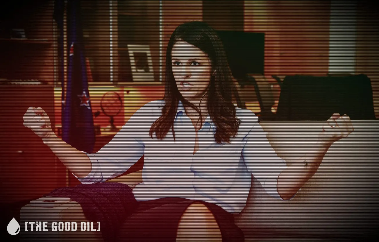 Erica Stanford’s Treaty Clause Fiasco: Another National Party Sellout