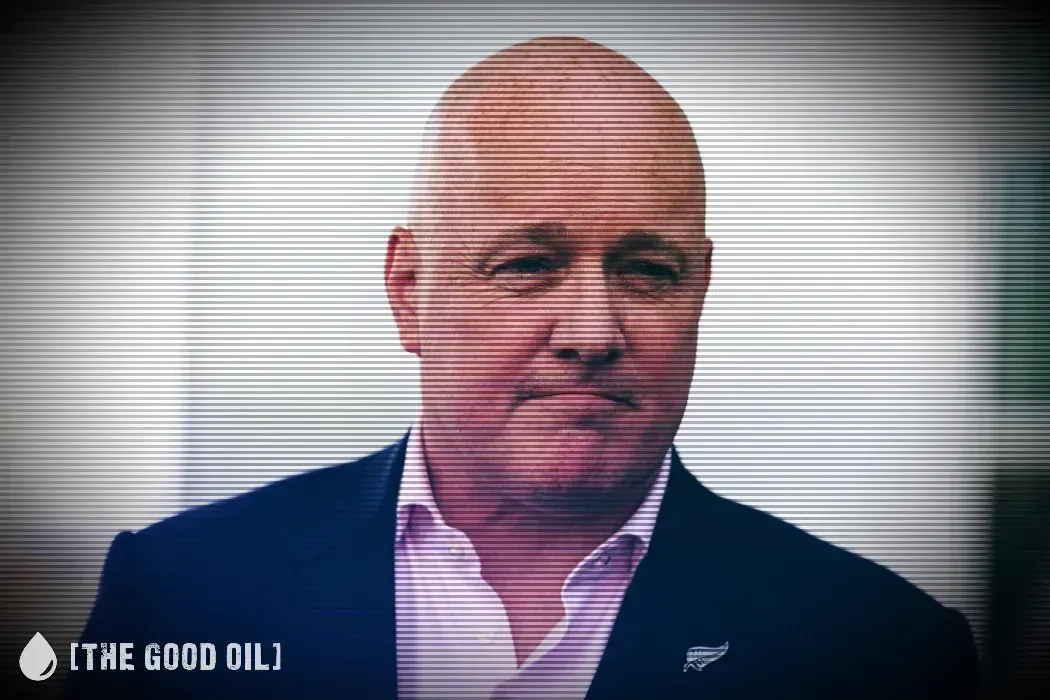 Luxon’s Cabinet Carnage: Reshuffle Brews as Coalition Fumes and Leadership Falters