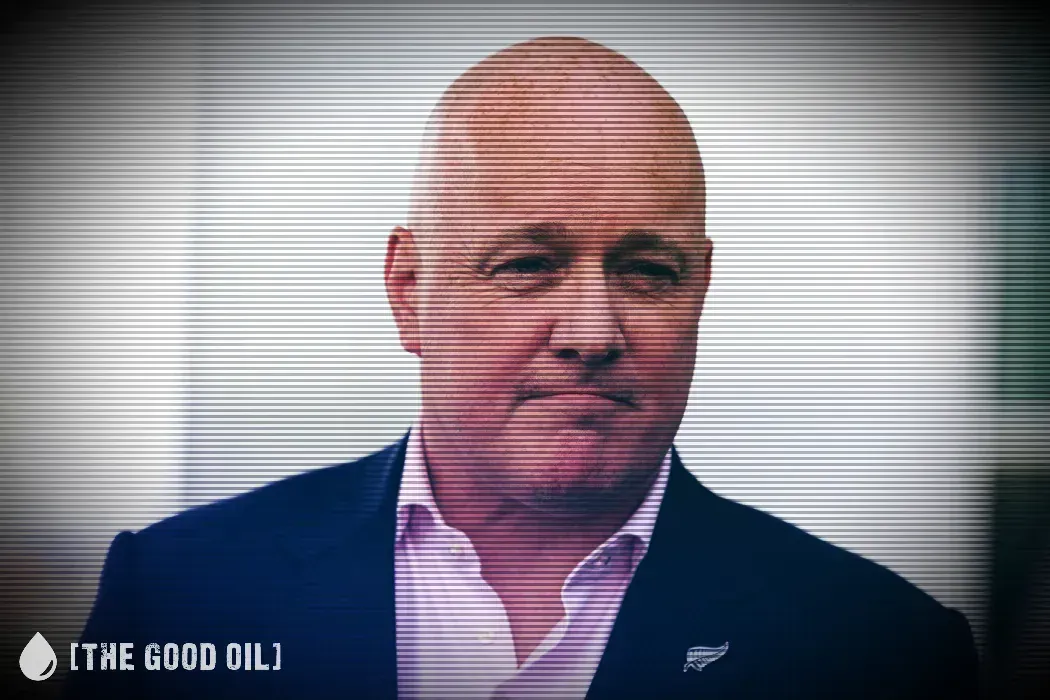 Poll Shock: National Sinks Below 30 Percent Again Under Luxon’s Limp Leadership