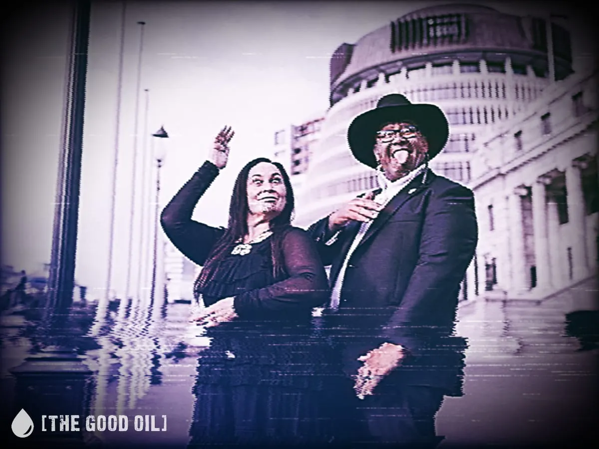 Te Pāti Māori Torch Government Bill in Latest Display of Democratic Contempt