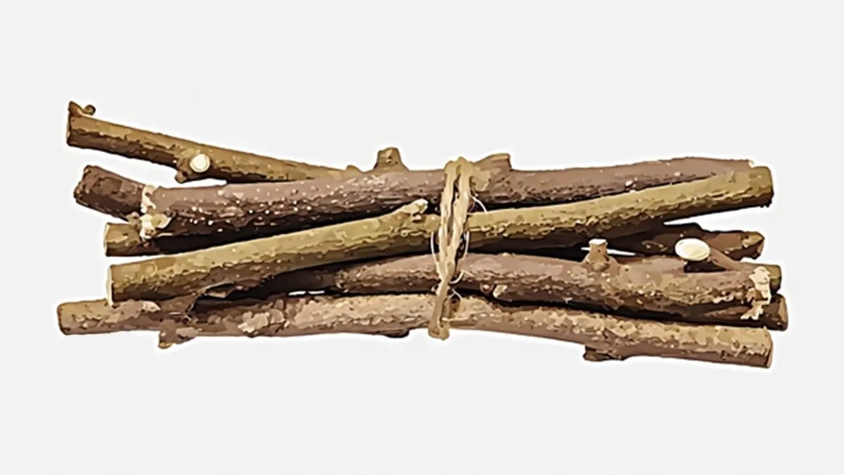 Labor Takes Branch-Stacking to a New Level