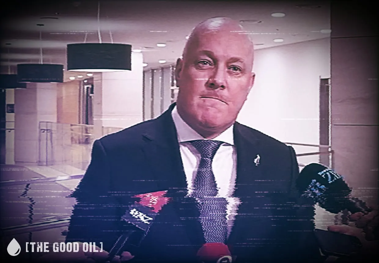 Bayly Bites Back: Misled, Mugged and Now Gunning for Luxon