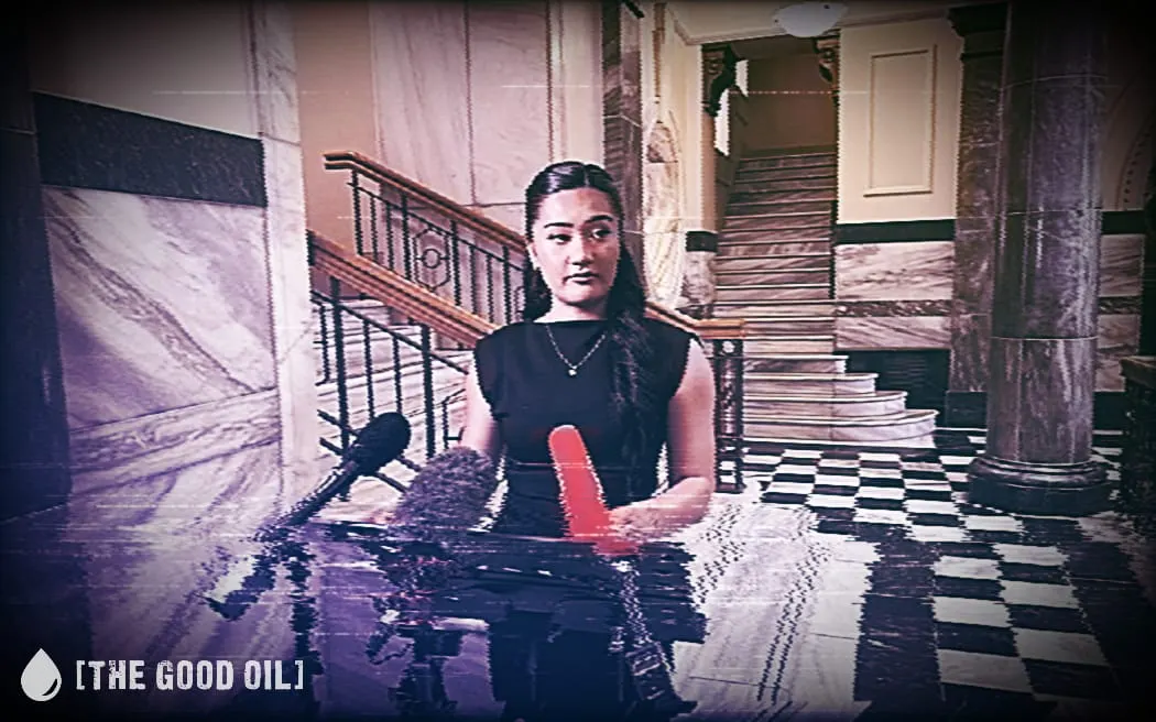 Te Pāti Māori’s Civil War Just Went Full Jerry Springer – And The Youngest Kid Is Begging Mum And Dad To Stop Fighting