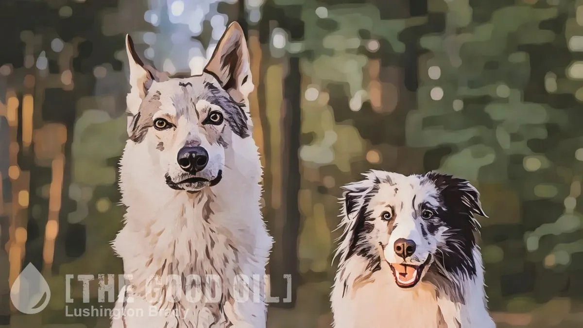 When Did Dogs Become... Dogs?