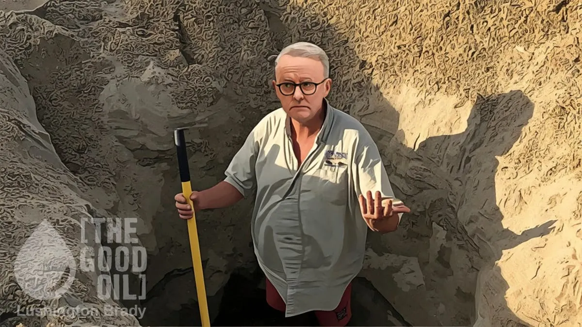 Albo Doesn’t Know When He Ought to Quit