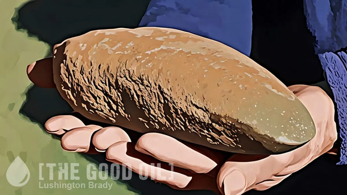 Rocks. That’s All They Are. Rocks.