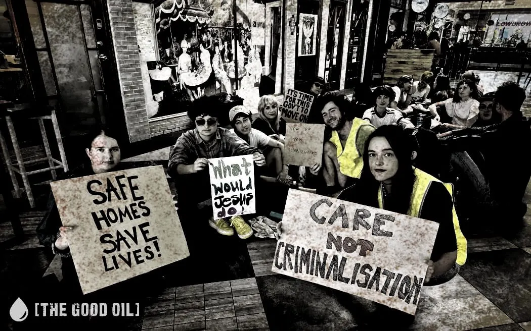 30 Losers Pretend To Be Auckland While Defending Chlöe Swarbrick’s Hobos