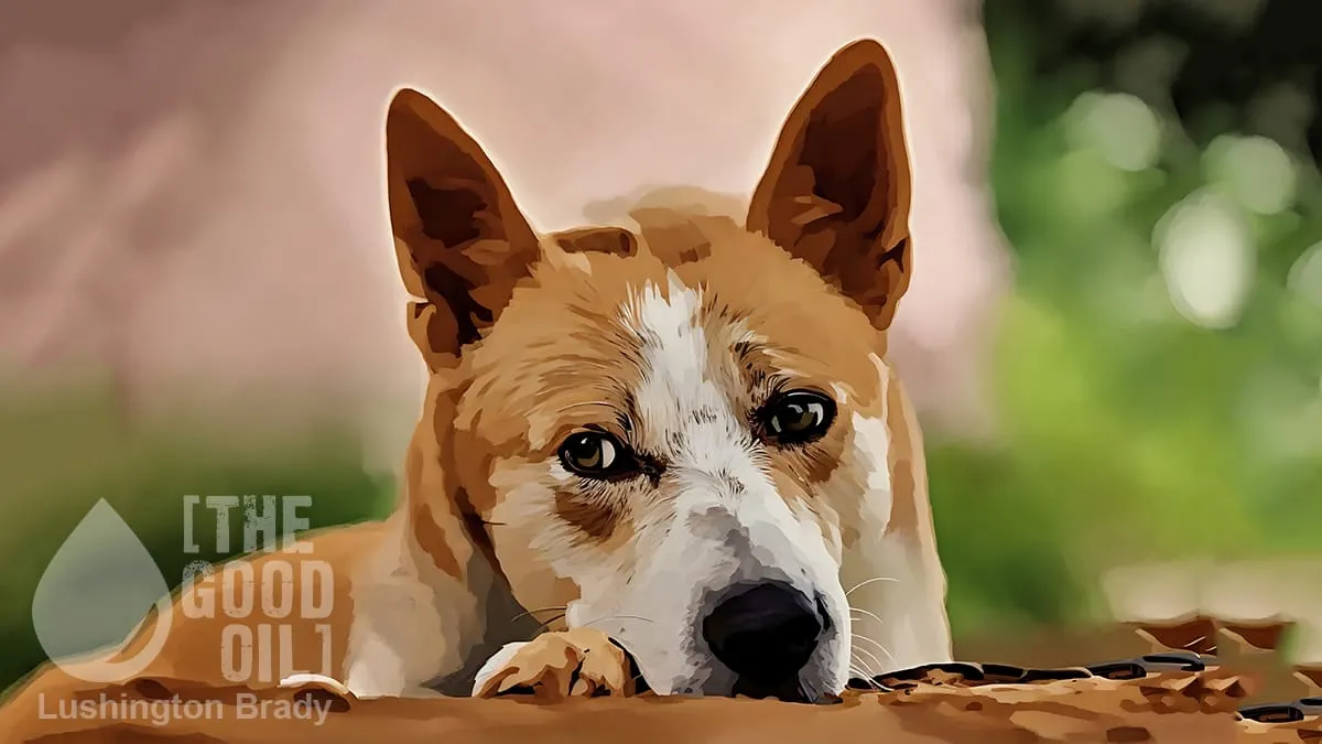 We Choose the Dogs, Thanks