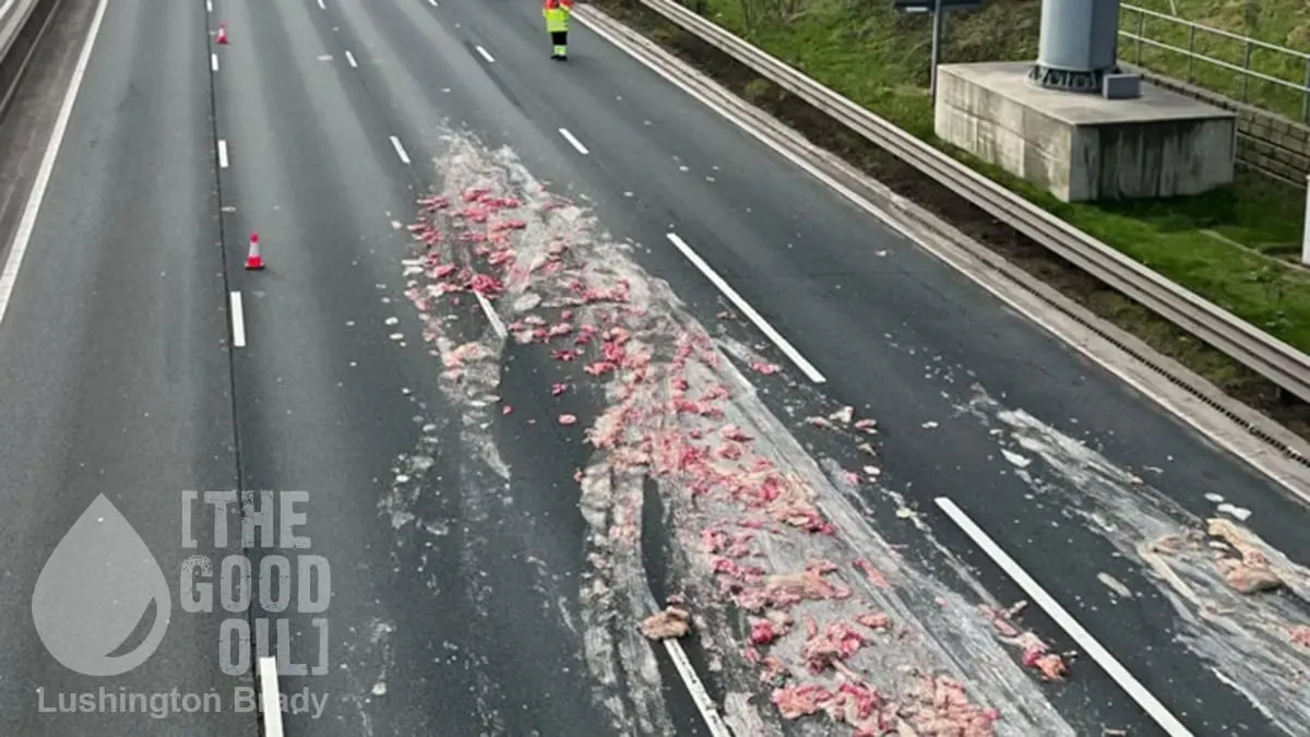 Exploding Weed Oil and Spilling Offal