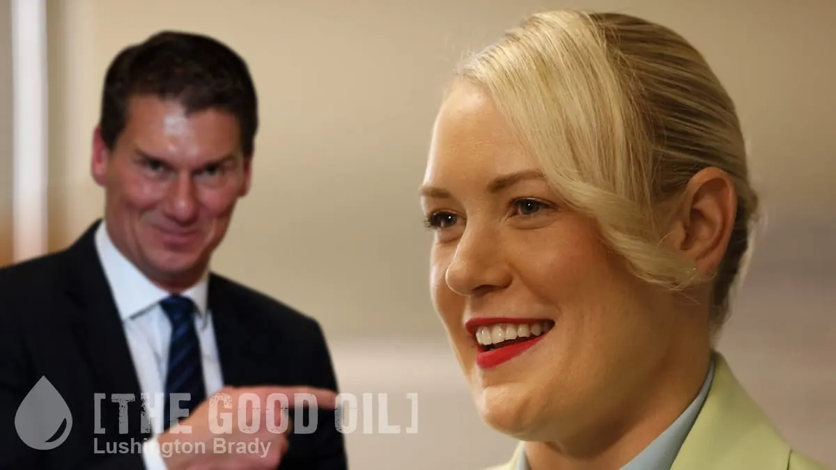 Who Should Be the SA Opposition?