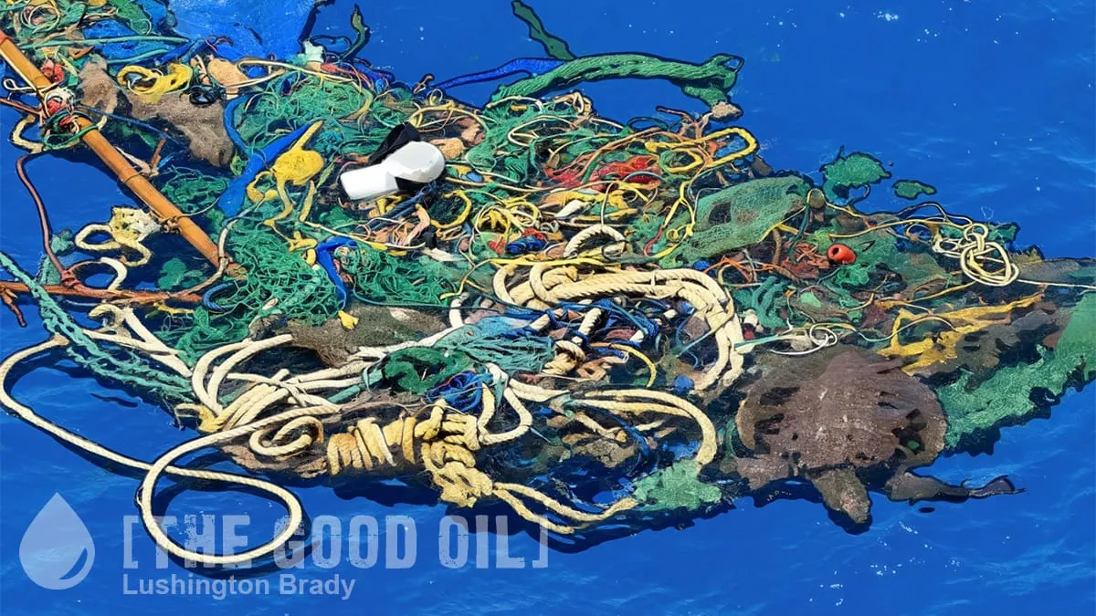 Should We Really Clean up Ocean Plastic?