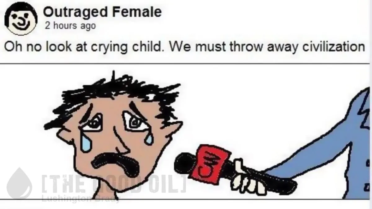 We Let These Basket Cases Vote