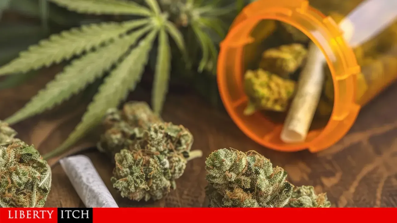 Is Cannabis Really a Danger to Society?