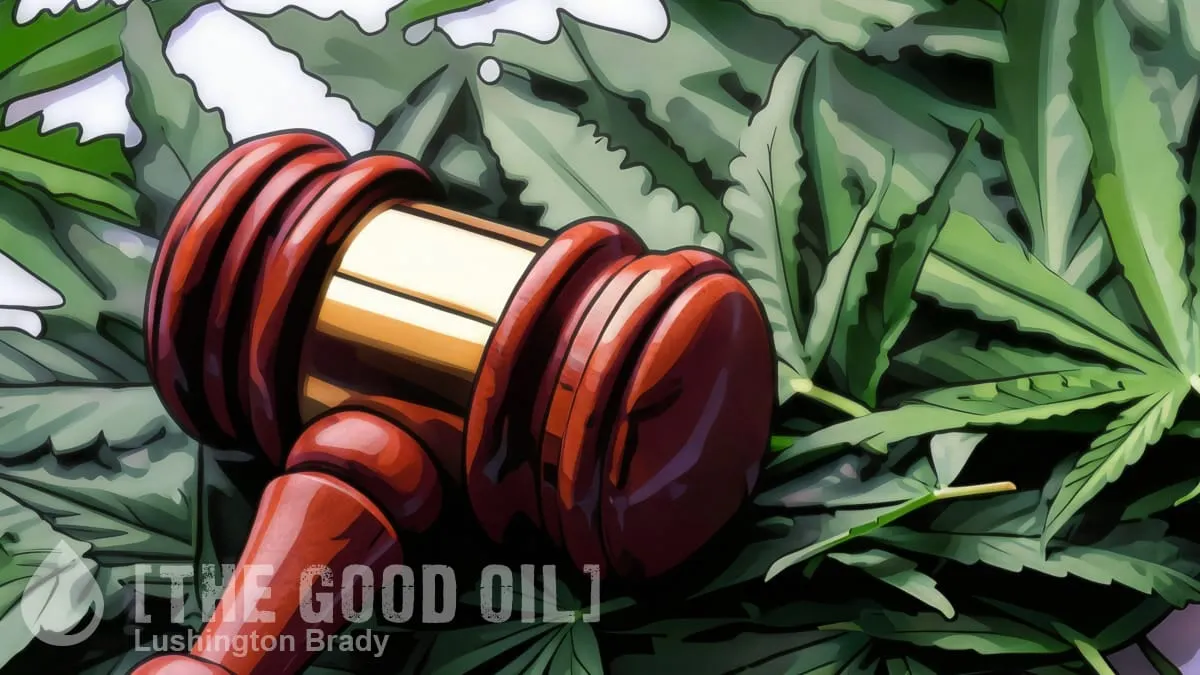 How Has Legalised Weed Worked Out?