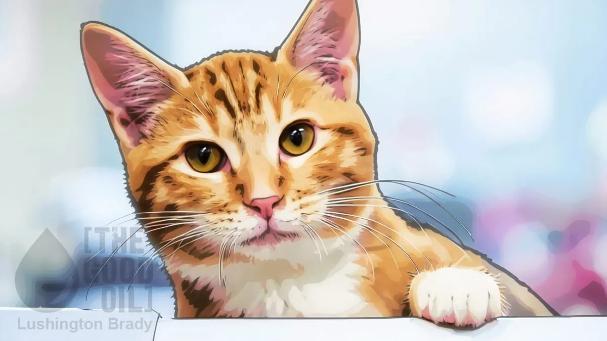 Orange Cats Prove That Biology Is Real